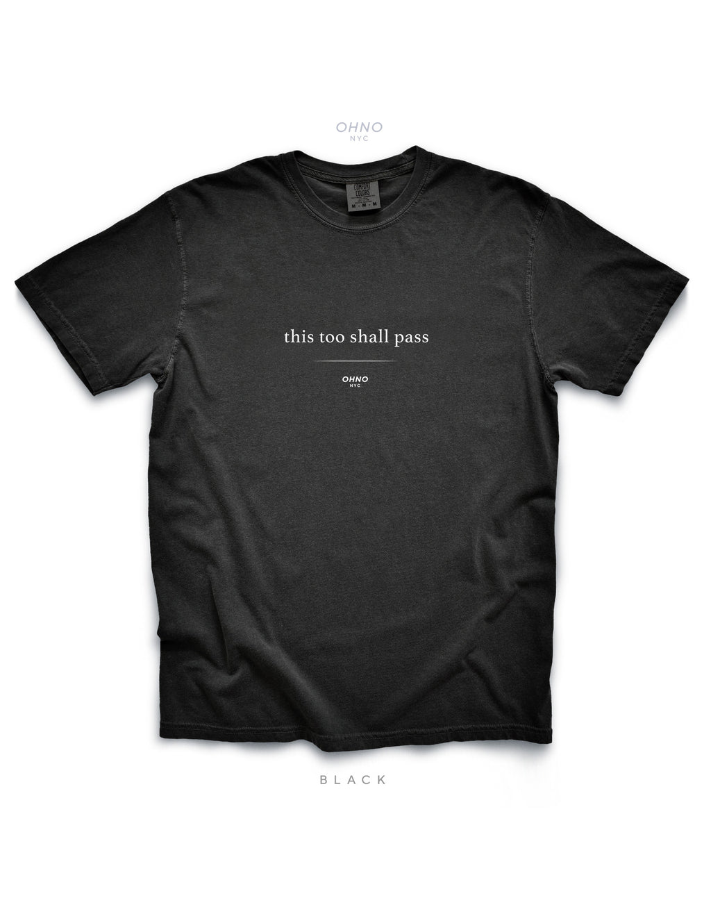 This too Shall Pass T-Shirt